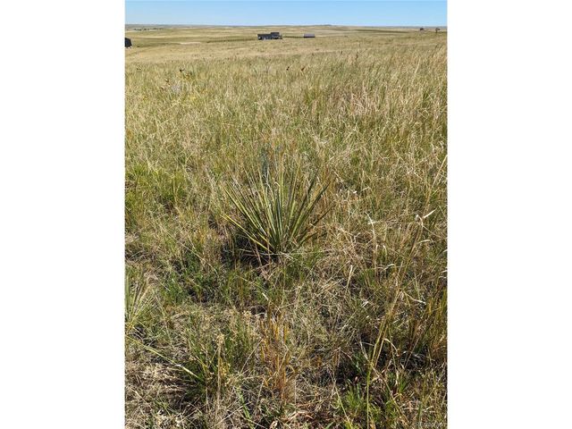 9 Quietude Lane, Kiowa, CO 80117