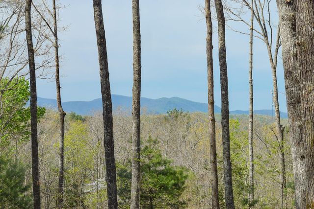 375 Ridge Brook Drive, Morganton, GA 30560