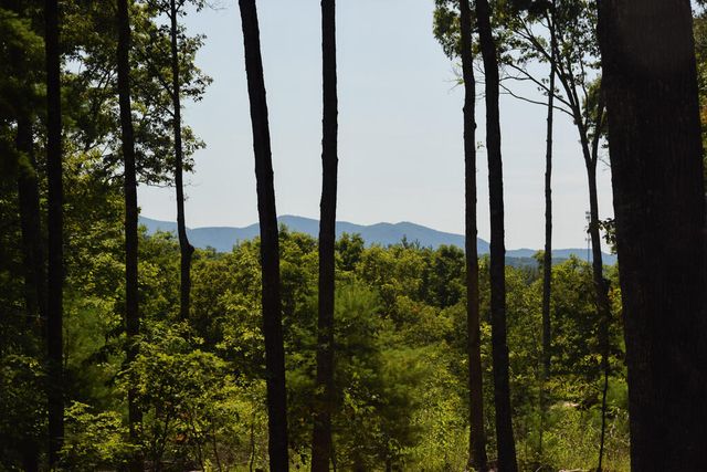 375 Ridge Brook Drive, Morganton, GA 30560