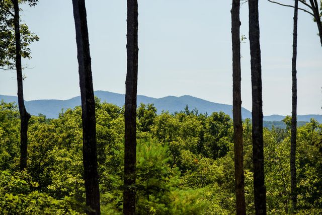 375 Ridge Brook Drive, Morganton, GA 30560