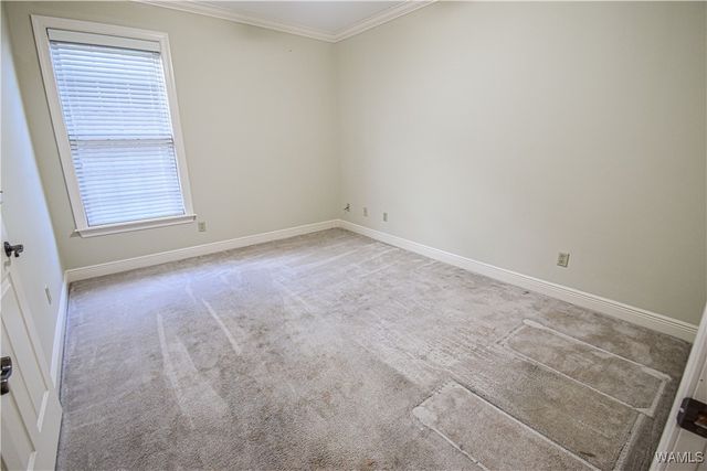 813 Greenbriar, Northport, AL 35473