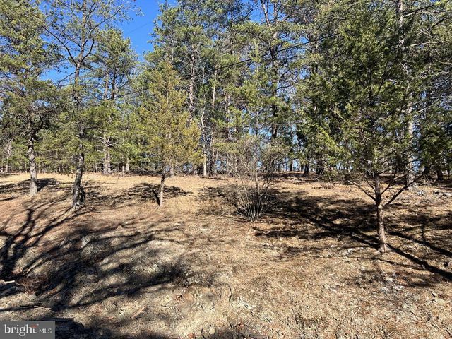 60 ANGLE DR, Purgitsville, WV 26852