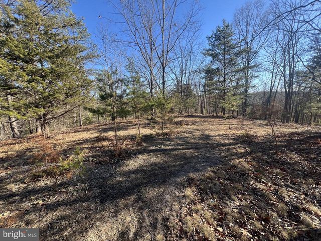 60 ANGLE DR, Purgitsville, WV 26852