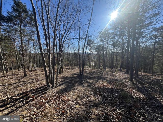 60 ANGLE DR, Purgitsville, WV 26852