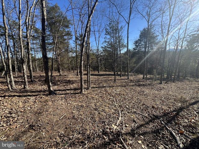 60 ANGLE DR, Purgitsville, WV 26852