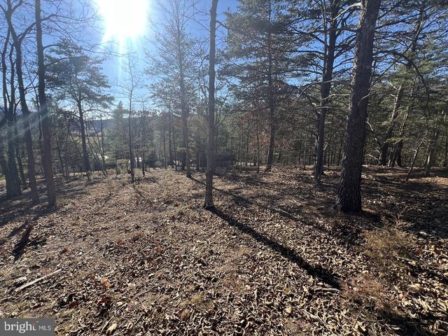 60 ANGLE DR, Purgitsville, WV 26852