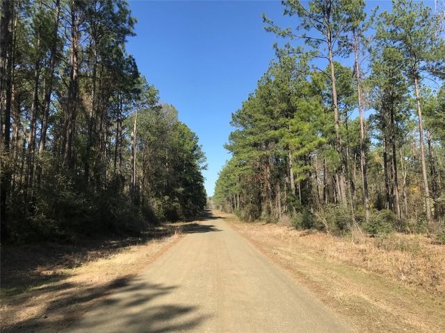 802 Cr 483 Road S, Broaddus, TX 75929