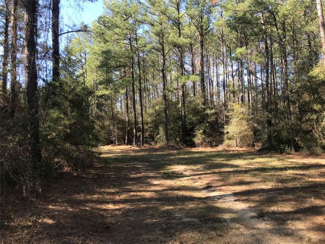 802 Cr 483 Road S, Broaddus, TX 75929