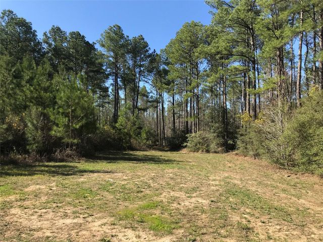 802 Cr 483 Road S, Broaddus, TX 75929