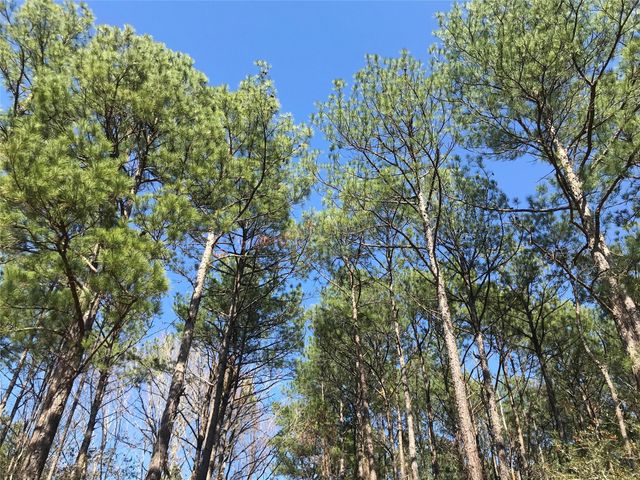 802 Cr 483 Road S, Broaddus, TX 75929