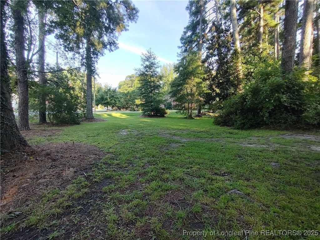 406 Courtland Drive, Sanford, NC 27330 — photo 4
