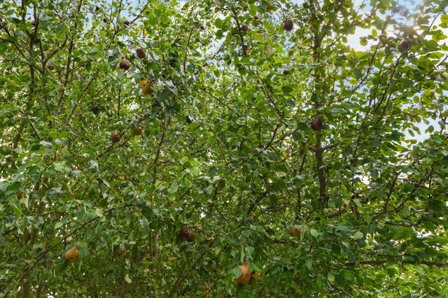 294 McDale Rd, Shelbyville, TN 37160