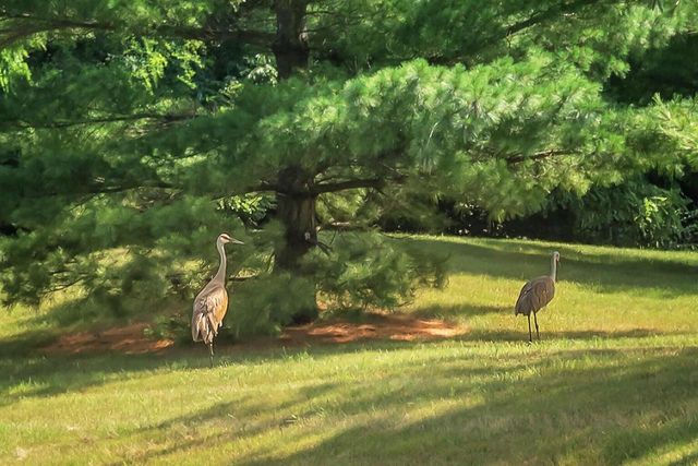 2293A Circle Ridge, Delafield, WI 53018