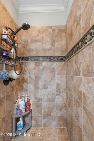 236 Still House Creek Drive, Madison, MS 39110