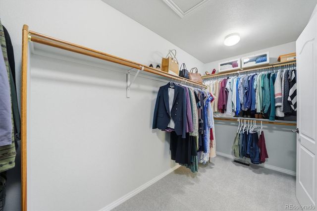 13892 Single Leaf Court, Colorado Springs, CO 80921