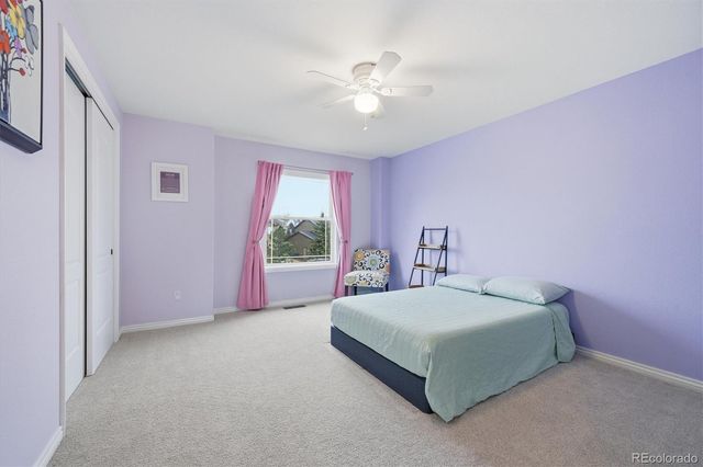 13892 Single Leaf Court, Colorado Springs, CO 80921