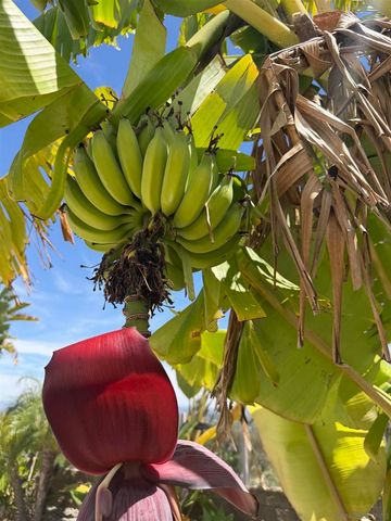 3722 Sandpoint, Carlsbad, CA 92010