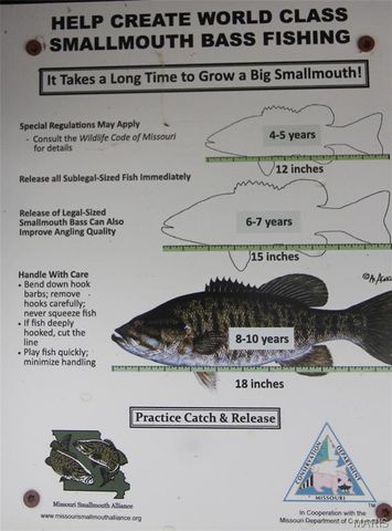 16286 Maries Rod 303, Vienna, MO 65582