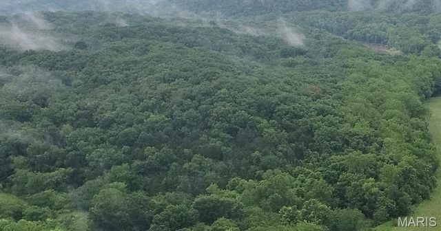 16286 Maries Rod 303, Vienna, MO 65582