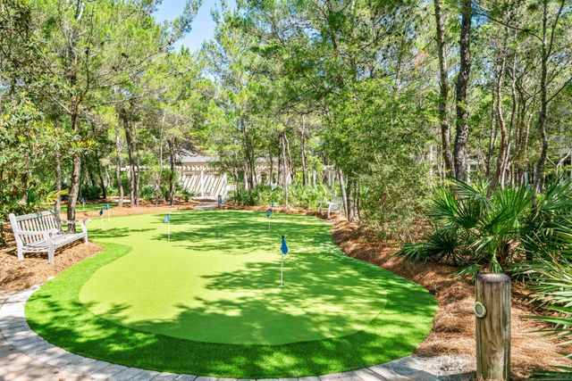 148 Coopersmith Lane, Inlet Beach, FL 32461
