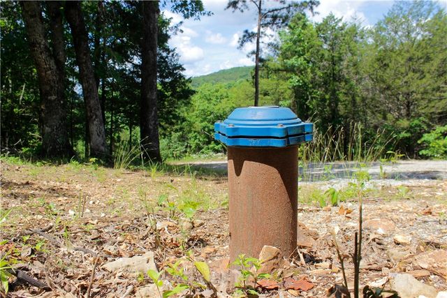 County Road 1091, Eureka Springs, AR 72631