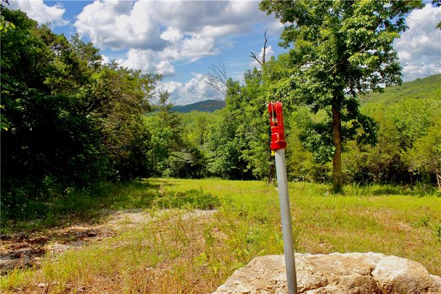 County Road 1091, Eureka Springs, AR 72631