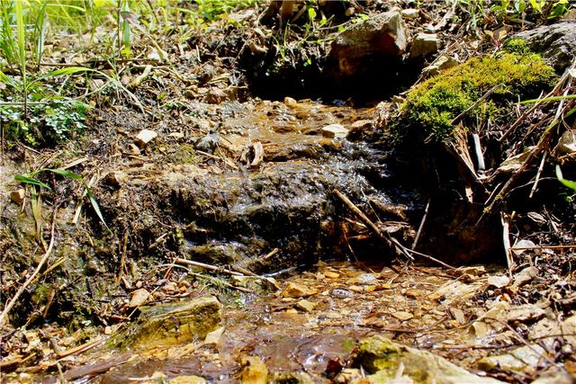 County Road 1091, Eureka Springs, AR 72631