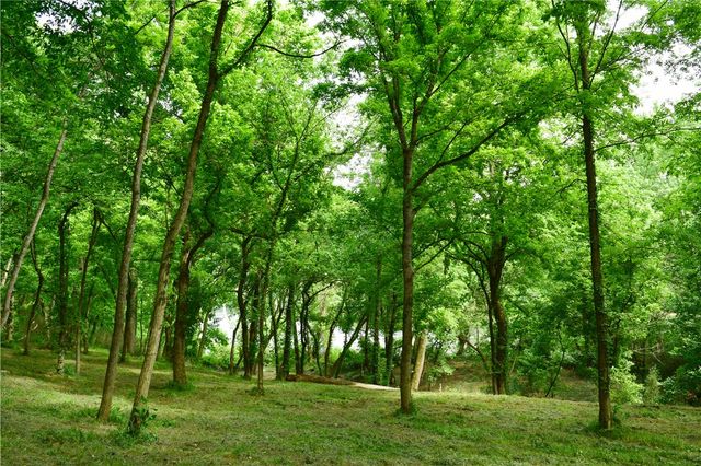 County Road 1091, Eureka Springs, AR 72631