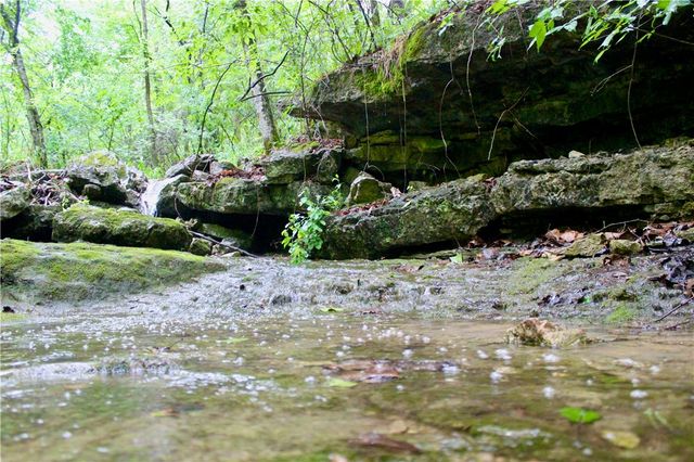 County Road 1091, Eureka Springs, AR 72631