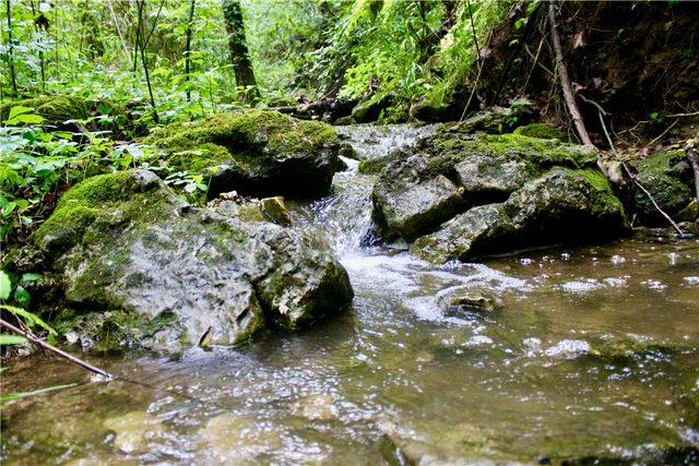 County Road 1091, Eureka Springs, AR 72631