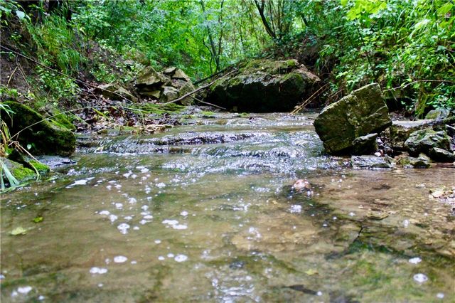 County Road 1091, Eureka Springs, AR 72631