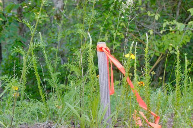 County Road 1091, Eureka Springs, AR 72631