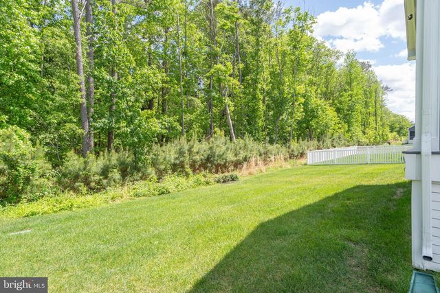 18565 EMERSON WAY, Georgetown, DE 19947