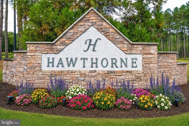18565 EMERSON WAY, Georgetown, DE 19947