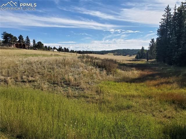 309 Pinaceae Heights, Divide, CO 80814