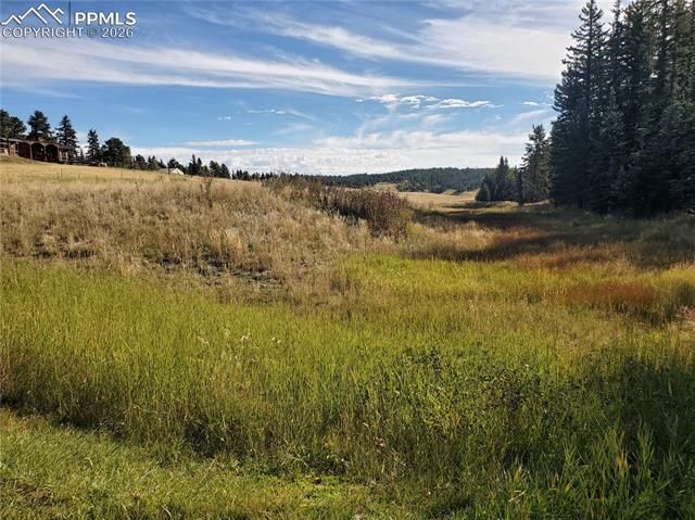 309 Pinaceae Heights, Divide, CO 80814
