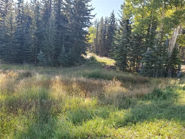 309 Pinaceae Heights, Divide, CO 80814