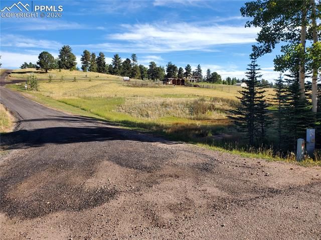309 Pinaceae Heights, Divide, CO 80814