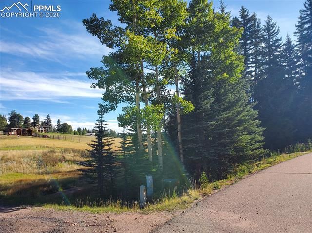 309 Pinaceae Heights, Divide, CO 80814