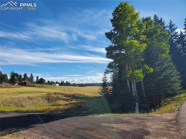 309 Pinaceae Heights, Divide, CO 80814