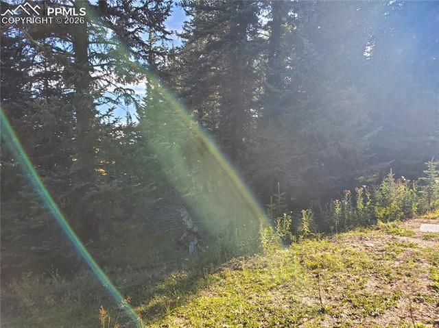 309 Pinaceae Heights, Divide, CO 80814