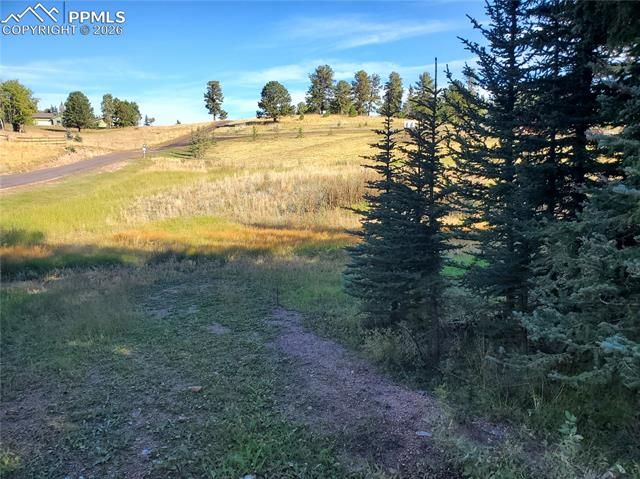 309 Pinaceae Heights, Divide, CO 80814