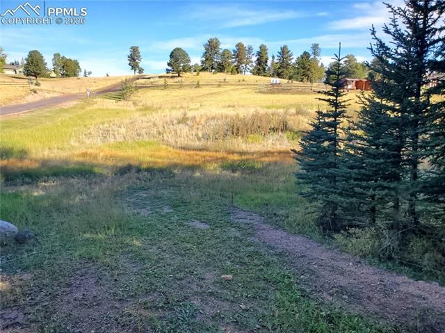 309 Pinaceae Heights, Divide, CO 80814
