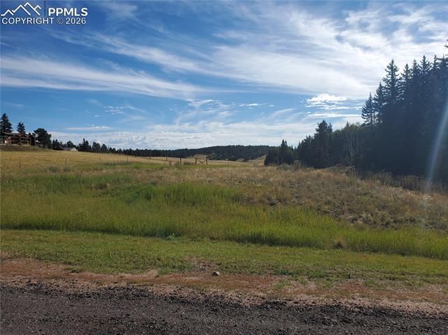 309 Pinaceae Heights, Divide, CO 80814