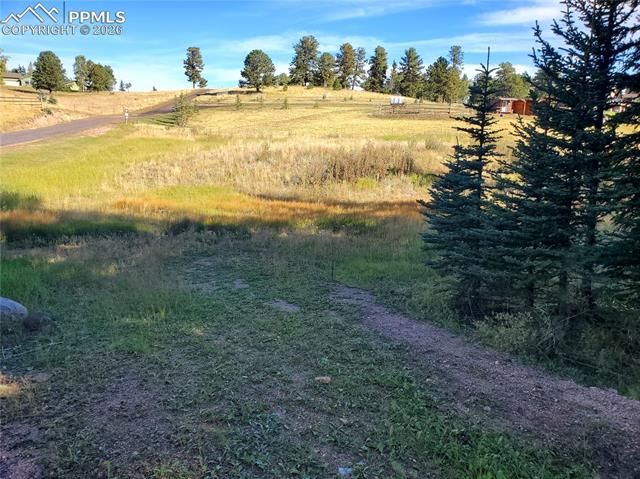 309 Pinaceae Heights, Divide, CO 80814