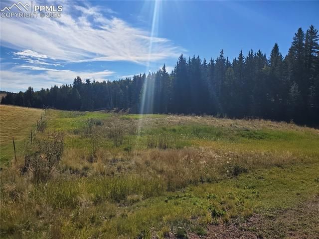 309 Pinaceae Heights, Divide, CO 80814