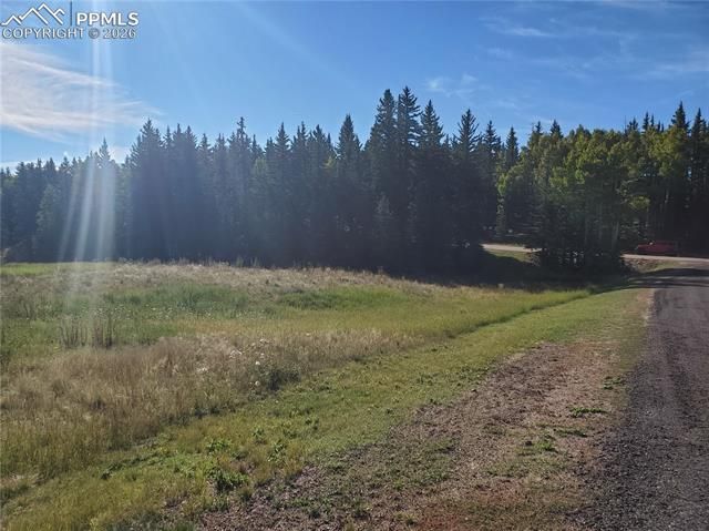 309 Pinaceae Heights, Divide, CO 80814