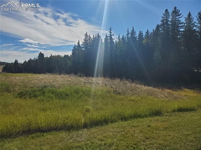 309 Pinaceae Heights, Divide, CO 80814