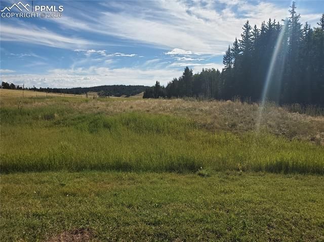 309 Pinaceae Heights, Divide, CO 80814