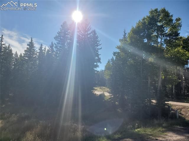 309 Pinaceae Heights, Divide, CO 80814